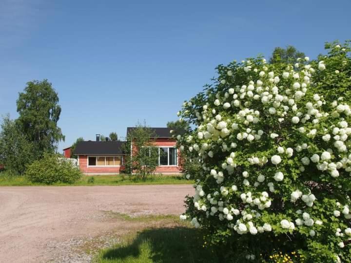 B&B Villa Helmi Ala-Temmes Eksteriør billede